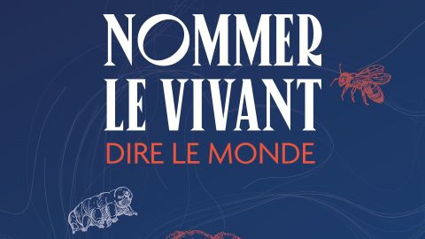 Texte alternatif de l'image